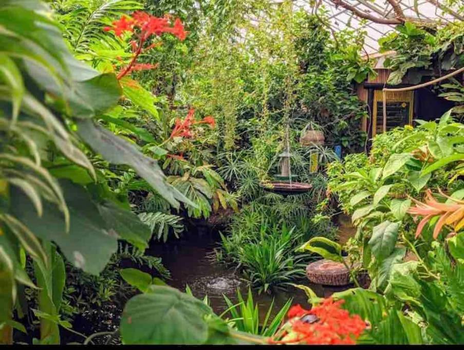 Hidden Gem !Stunning 3 Bedroom Home In Sheffield Handsworth Экстерьер фото